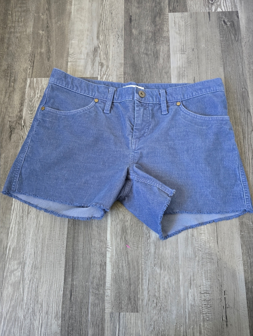 Carve Designs Oahu Corduroy Raw Hem Shorts, Size 6